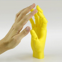 container_jointed-hand-3d-printing-54190_902860742